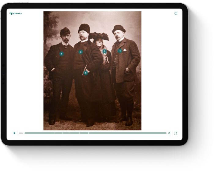 Pixelvoice presentationsvy